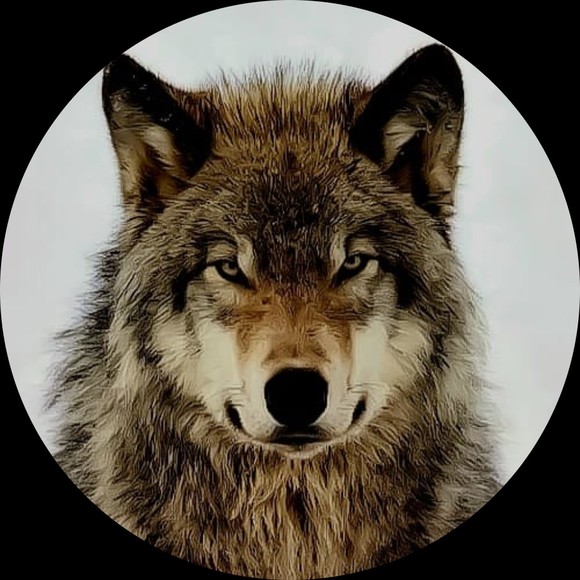 big0bad0wolf